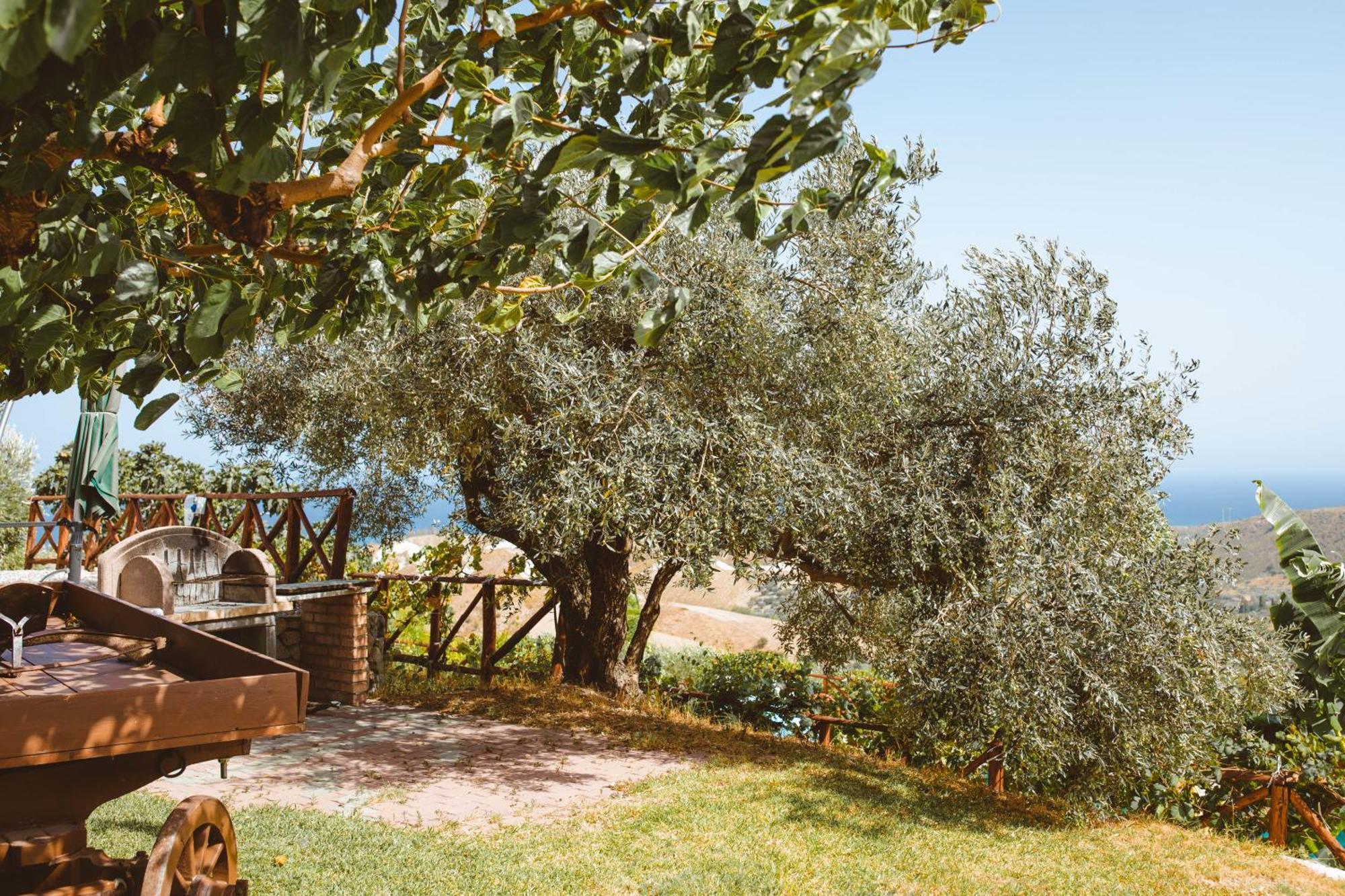 Calami - Villa Romeo - Private Apartments With Pool, Seaview & Olive Grove Santa Caterina Dello Ionio Marina Buitenkant foto