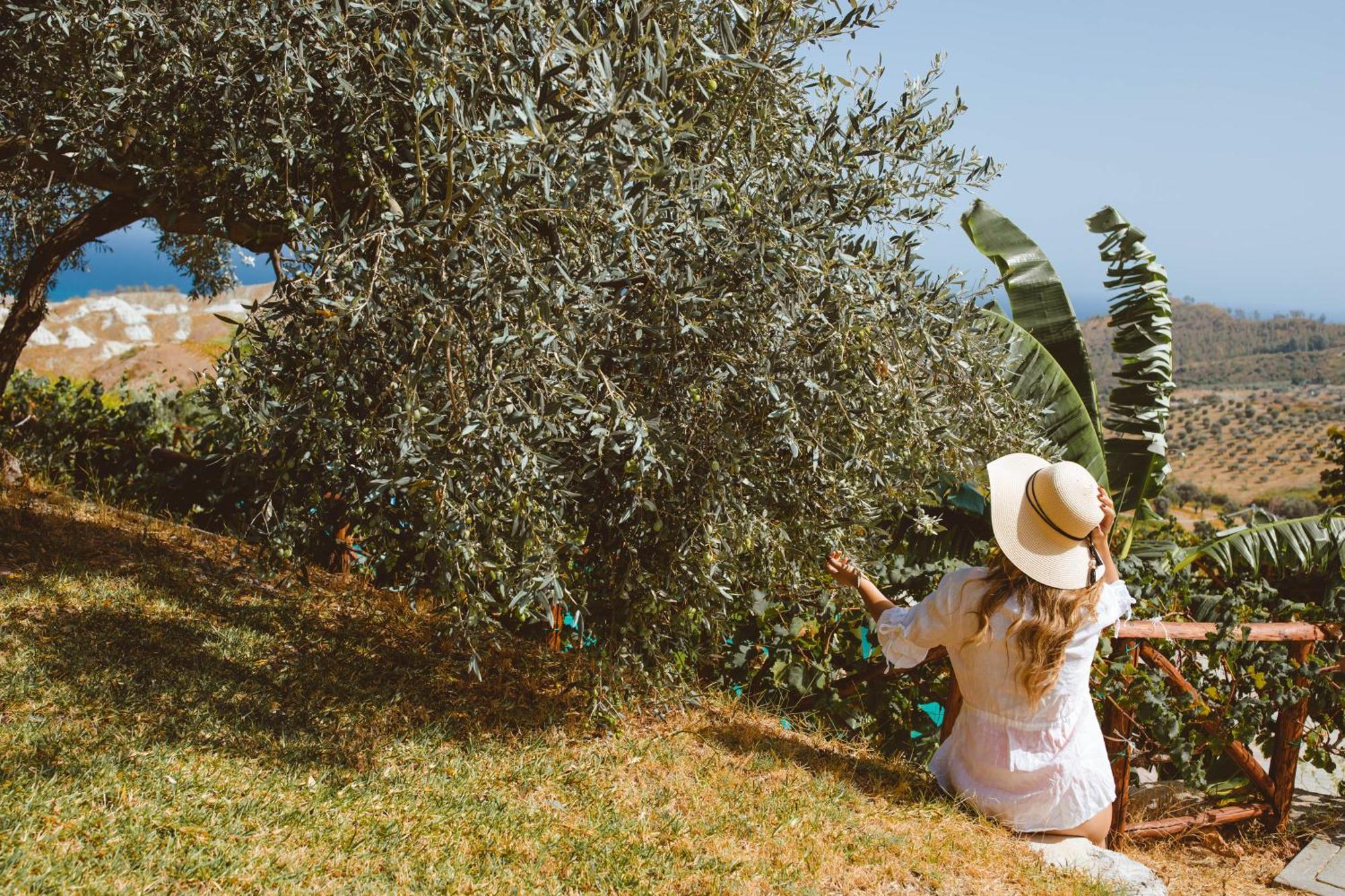 Calami - Villa Romeo - Private Apartments With Pool, Seaview & Olive Grove Santa Caterina Dello Ionio Marina Buitenkant foto