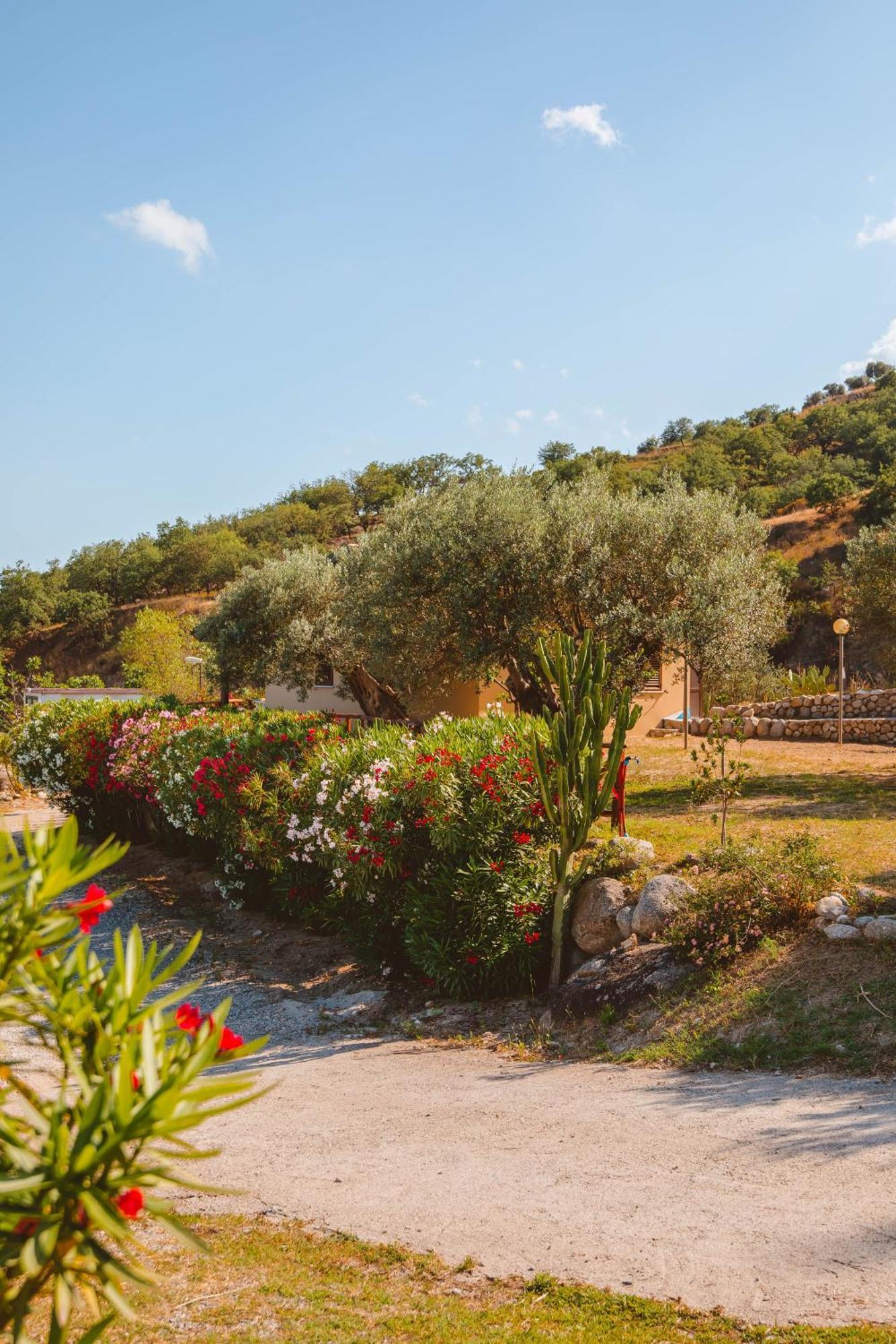 Calami - Villa Romeo - Private Apartments With Pool, Seaview & Olive Grove Santa Caterina Dello Ionio Marina Buitenkant foto